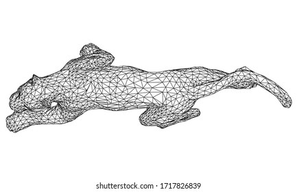 Ilustración de líneas leopardo de ataque. Leopardo vector abstracto sobre el fondo blanco