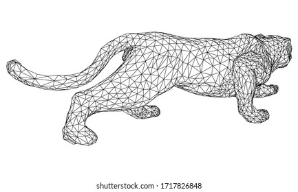Attack leopard lines illustration. Abstract vector leopard on the white background