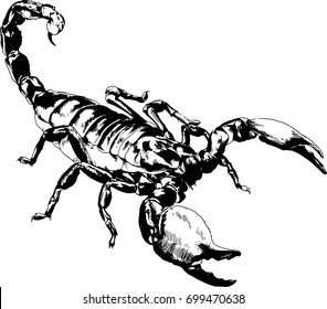 attacker Scorpion is drawn with ink on white background logo tattoo