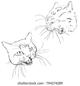 The attacking cat, the black vector image on a white background