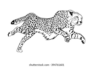 1,710 Cheetah running black white Images, Stock Photos & Vectors ...