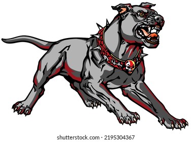 attacking dog  wearing a spiked collar with a skull standing in an aggressive pose showing his teeth. Isolated vector illustration 