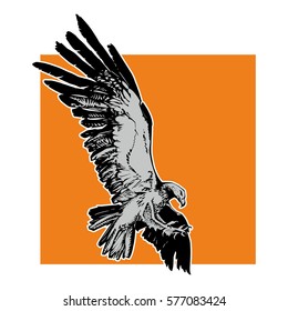 Attacking hawk ORA