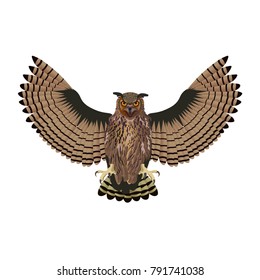 Attacking owl with open wings. Vector illustration isolated on white background