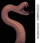 An attacking snake with its mouth open. Editable hand drawn illustration. Vector vintage engraving. Isolated on black background. 8 EPS