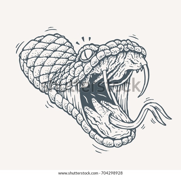ヘビのベクターイラスト 古いタトゥースタイルの図面 口を開き舌を突き立て 牙を突く怒った蛇の頭 のベクター画像素材 ロイヤリティフリー