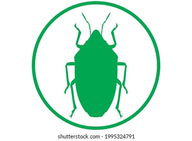 Attention green bug. Insects are allowed. Flat vector illustration.
