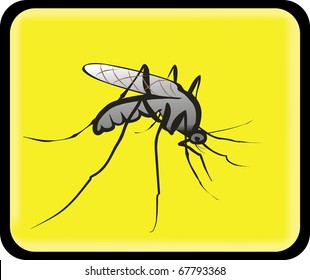 attention mosquitoes sign