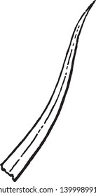 las hojas de atenuación son finas, y las hojas tienen dos hojas el lado superior es estrecho y el inferior es ancho, dibujo vintage de línea o ilustración de grabado.