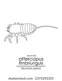 Attercopus fimbriunguis, un arácnido de época devoniana, la araña más antigua conocida, ilustración de arte de línea blanca y negra. Ideal tanto para colorear como para propósitos educativos