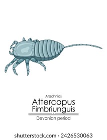 Attercopus fimbriungus es la araña más antigua conocida, un arácnido del período Devónico. Ilustración colorida sobre un fondo blanco