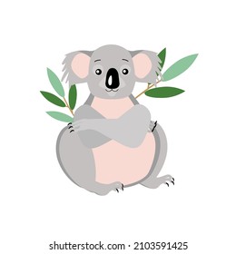 An attractive Australian koala animal on a white background.Vector illustration.