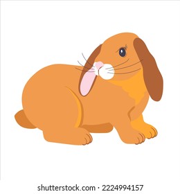 An attractive brown rabbit highlighted on a white background. Designer rabbit graphics for printing on invitations, holiday posters. Easter bunny. Vector.