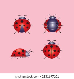 Attractive cute red ladybug icon for your mascot or complementary design, Vector.