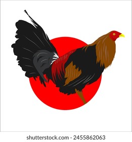 attractive and elegant chicken vector
