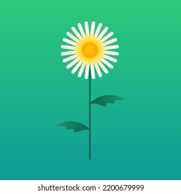Attractive flower icon set with many color choices.