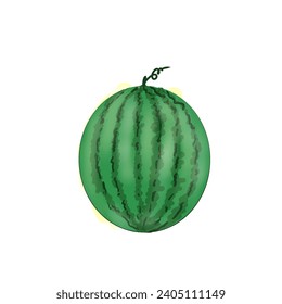 Attractive green watermelon vector image for fruit ornament decoration
