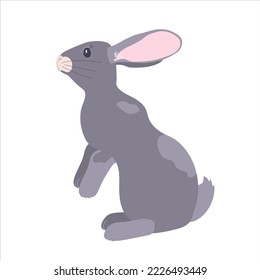 An attractive grey rabbit highlighted on a white background. Designer rabbit graphics for printing on invitations, holiday posters. Easter bunny. Vector.