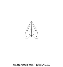 attractive leaf vector icon