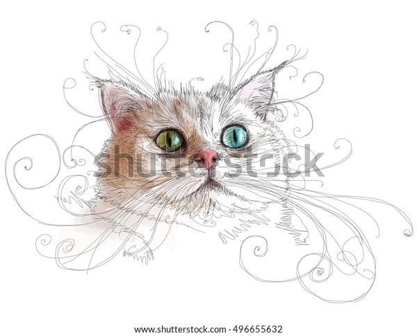 Attractive Muzzle Cat Breed British Shorthair Stock Vector