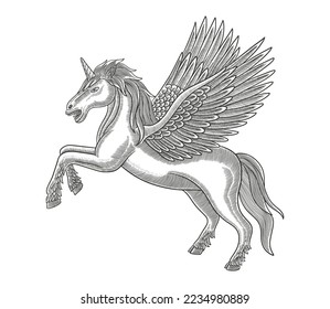 Attraktiver Pegasus. Vintage Graving Illustration Stil