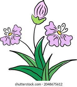 Attractive pink flower plant with flower and buds. This can use for paint and coloring purpose and decoration.