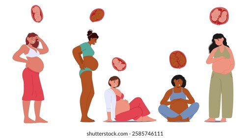 Attractive pregnant woman characters and baby and twins embryos inside uterus isolated design set. Date of childbirth anticipation, healthy pregnancy period, parenting preparation vector illustration