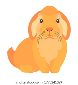 Attractive red rabbit isolated on white background. Designer bunny graphics for printing on stickers and t-shirts. Cute furry animal. Decorative pet.