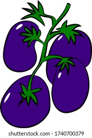 Aubergine eggplant icon vegetable vector illustration isolated