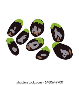 Aubergine illustration isolated on white background. Flat cartoon style. Vector illustration. 