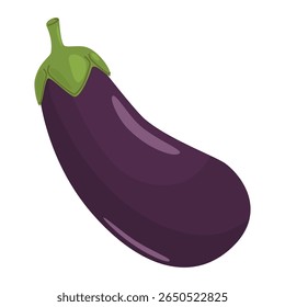 Berinjela, comida saudável natural. Ícone de berinjela roxa inteira, vegetal fresco maduro da fazenda. Produtos vegetais orgânicos, culturas vitamínicas, colheitas. Ilustração vetorial gráfica plana isolada no plano de fundo branco