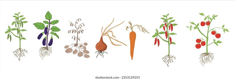 Ilustración vectorial de berenjena, papa, cebolla, tomate, pimienta verde, pimienta roja