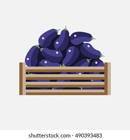 Aubergine vector illustration. Blue vegetables. Eggplant.