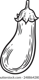 Auberginen-Gemüse-Gravur-Vektorillustration auf weißem Hintergrund isoliert.