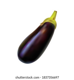 Aubergine vegetable, purple eggplant isolated on white background. Realistic image of a brinjal. 