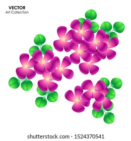 Aubretia Flower isolate, Vector illustration design element