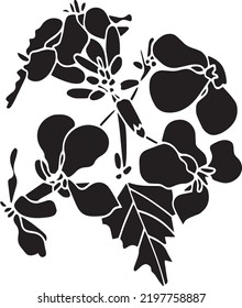Aubrieta Vector Stencil, black and white