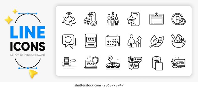 Auction hammer, Ssd and Leaf line icons set for app include Salad, Freezing, Biometric security outline thin icon. Calendar graph, Car place, Parking time pictogram icon. Vector