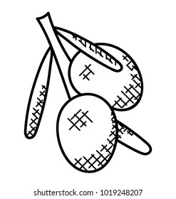 
Aucuba japonica berries doodle icon
