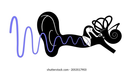 Audiometry test concept. Ear anatomy medical poster. Deafness disease. Hearing loss problems. Semicircular canals, membranous ampullae, utricle, saccule and cochlea anatomical flat vector illustration