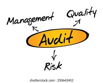 Audit diagram process, business concept