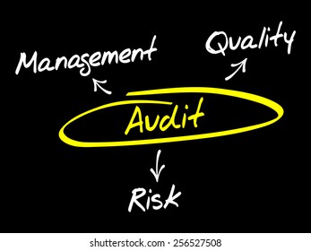 Audit diagram process, business concept