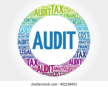 AUDIT word cloud, business concept