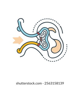 Auditory Canal Anatomy Icon for Health Education