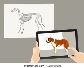 Augmented reality. AR. The skeleton of the dog is complemented by a real image on the tablet screen. Hands hold a gadget. The finger presses the picture. Vector illustration.