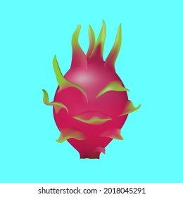 August 2, 2021 : Vector illustration of a dragon fruit on the light blue background.