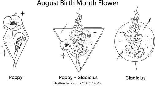 August Birth Month Flower Collection, Poppy And Gladiolus Vector Line Illustrations