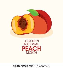 August is National Peach Month vector. Peach cut in half icon vector. Half and whole peach icon vector. Fresh peaches fruit drawing. Important day