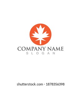 auntum leaf logo vector and symbol