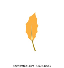Auntumn Logo  icon  Vector illustration
